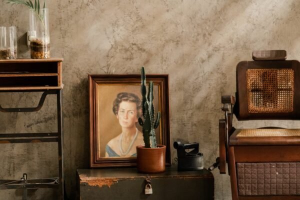 Antique decor in a vintage room featuring a cactus, portrait, and wooden chair.